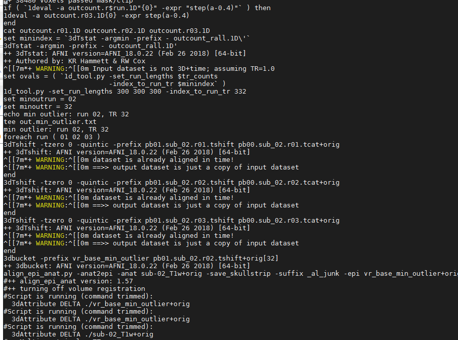 ../../_images/AFNI_output.PNG