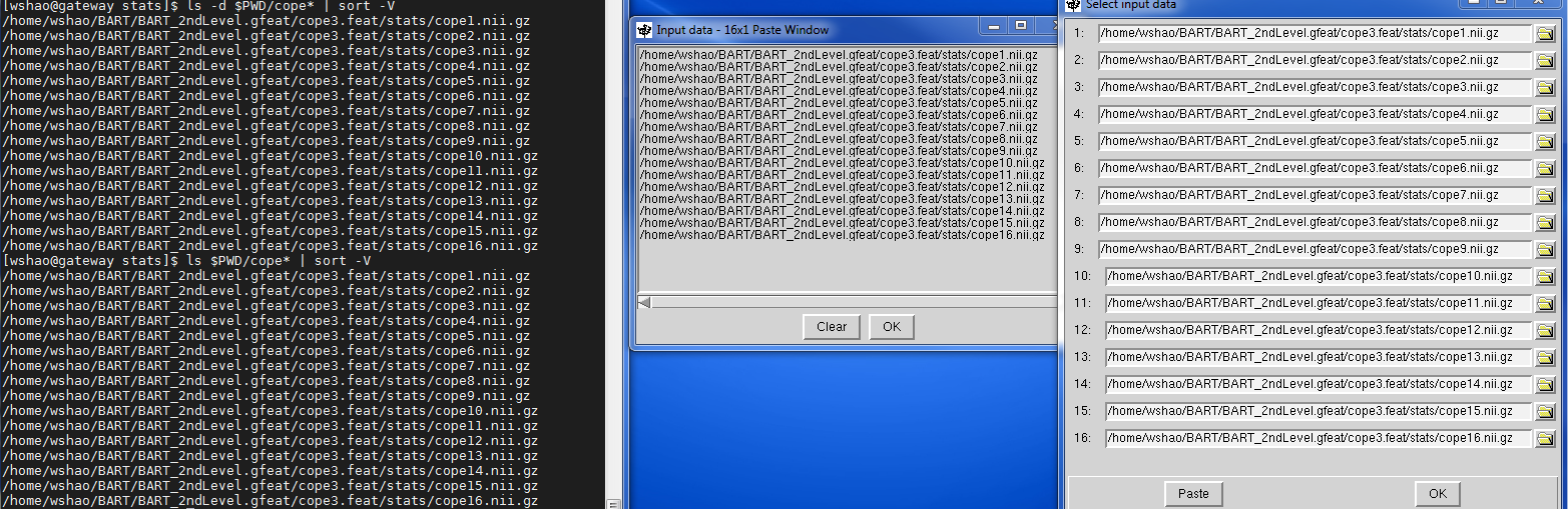 ../../_images/FSL_3rd_load_data.png